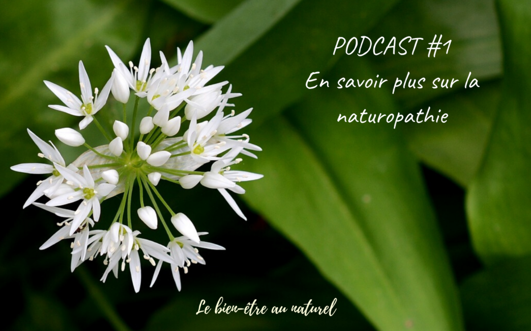 PODCAST n°1 – En savoir plus sur la naturopathie