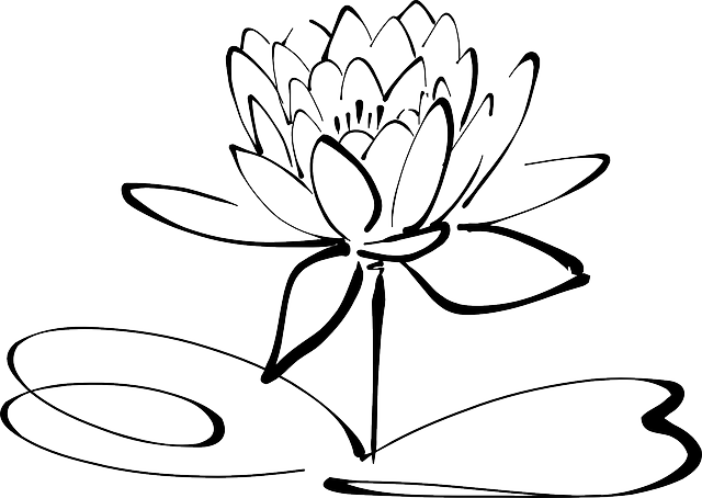 fleur de lotus